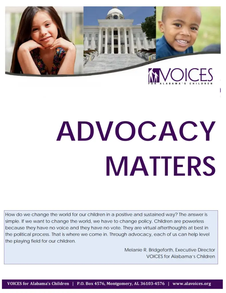 Advocacy 2